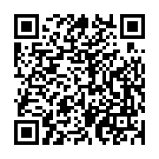 QR:  بوق جفتی پژویی زیزو درجه یک