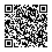 QR:  جاقاشقی دوقلو رومیزی طرح آدمک استیل