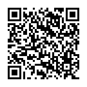 QR:  جاقاشقی دوقلو رومیزی طرح آدمک استیل رنگی