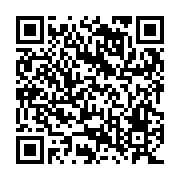 QR:  جاقاشقی دوقلو رومیزی طرح آدمک استیل گلدار 140G