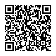 QR:  جاقاشقی سه قلو آویز استیل رنگی