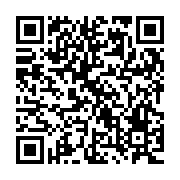 QR:  جاقاشقی سه قلو آویز استیل گلدار