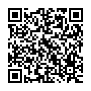 QR:  جاقاشقی سه قلو آویز اقتصادی