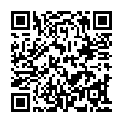 QR:  پالت سایه چشم دودو گرل شماره 02