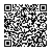 QR: کیف پاسپورتی زنانه دیوید جونز مدل GN-21103