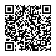 QR: کیف پاسپورتی زنانه دیوید جونز مدل 1-6727