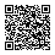 QR: کیف دستی زنانه دیوید جونز مدل CM6438