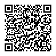 QR: کیف پاسپورتی زنانه دیوید جونز مدل 1-6725