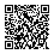 QR: کیف پاسپورتی زنانه دیوید جونز مدل 2-6739
