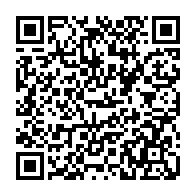 QR: کیف پاسپورتی زنانه دیوید جونز مدل cm6434
