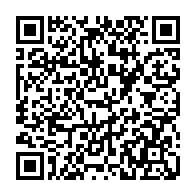 QR: کیف پاسپورتی زنانه دیوید جونز مدل 1-6803