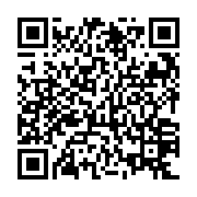 QR: کوله پشتی زنانه دیوید جونز مدل 4-6740