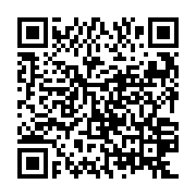 QR: کیف دستی زنانه دیوید جونز مدل cm6574