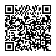 QR: کیف دستی زنانه دیوید جونز مدل cm6574