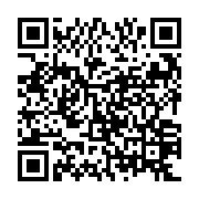 QR: کیف دستی زنانه دیوید جونز مدل cm6574