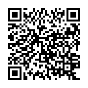 QR: کیف دستی زنانه دیوید جونز مدل 3-6920