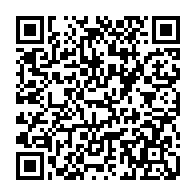 QR: کیف پاسپورتی زنانه دیوید جونز مدل 2-6941