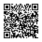 QR: کیف دستی زنانه دیوید جونز مدل 1-6936