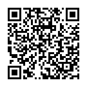 QR: کوله پشتی زنانه دیوید جونز مدل 2-6910