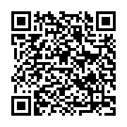 QR: کیف دستی زنانه دیوید جونز مدل CM6657