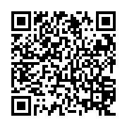 QR: کوله پشتی زنانه دیوید جونز مدل 6911A-2