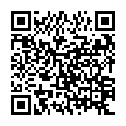 QR: کیف دستی زنانه دیوید جونز مدل cm6743