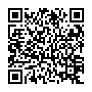 QR: کوله پشتی زنانه دیوید جونز مدل cm6765