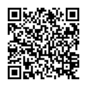 QR: کوله پشتی زنانه دیوید جونز مدل cm6765