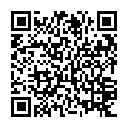 QR: کوله پشتی زنانه دیوید جونز مدل 906603