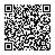 QR: کیف پاسپورتی زنانه دیوید جونز مدل CM6793