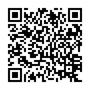 QR: کوله پشتی زنانه دیوید جونز مدل 4-6736