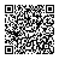 QR: کیف پاسپورتی زنانه دیوید جونز مدل 1-6824