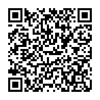 QR: کیف پاسپورتی زنانه دیوید جونز مدل CM6638