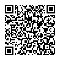 QR: کیف پاسپورتی زنانه دیوید جونز مدل CM6651