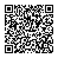 QR: کیف پاسپورتی زنانه دیوید جونز مدل CM6638