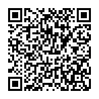 QR: کیف پاسپورتی زنانه دیوید جونز مدل 1-6938