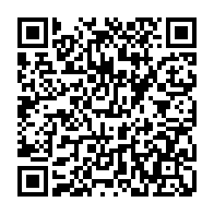 QR: کیف پاسپورتی زنانه دیوید جونز مدل 1-6924