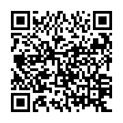 QR: کیف دستی زنانه دیوید جونز مدل 1-6941