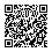 QR: ساک زنانه دیوید جونز مدل CM6660