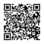 QR: کوله پشتی زنانه دیوید جونز مدل 3-7019