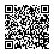 QR: کوله پشتی زنانه دیوید جونز مدل cm6765