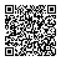 QR: کیف پاسپورتی زنانه دیوید جونز مدل CM6990