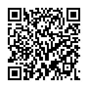 QR: کیف دستی زنانه دیویدجونز مدل cm7205