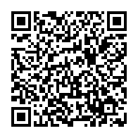 QR: کیف دوشی زنانه دیویدجونز مدل cm6923 Black (کپی)