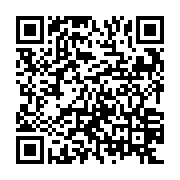 QR: کیف دوشی زنانه دیویدجونز مدل cm7025