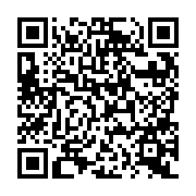 QR:  شابلون آی سی K221 مناسب تعمیرات برد گوشی موبایل