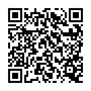 QR:  شابلون دو بعدی CPU MEGA IDEA مدل MT6735V