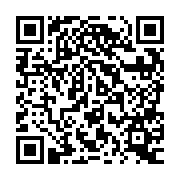 QR:  شابلون دو بعدی MEGA-IDEA APQ8084 CPU