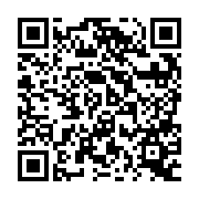 QR:  شابلون دو بعدی MEGA-IDEA MT6797V QL54 CPU
