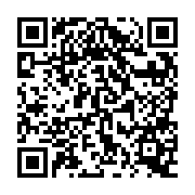 QR:  شابلون سه بعدی QIANLI iBlack SDM 660 301